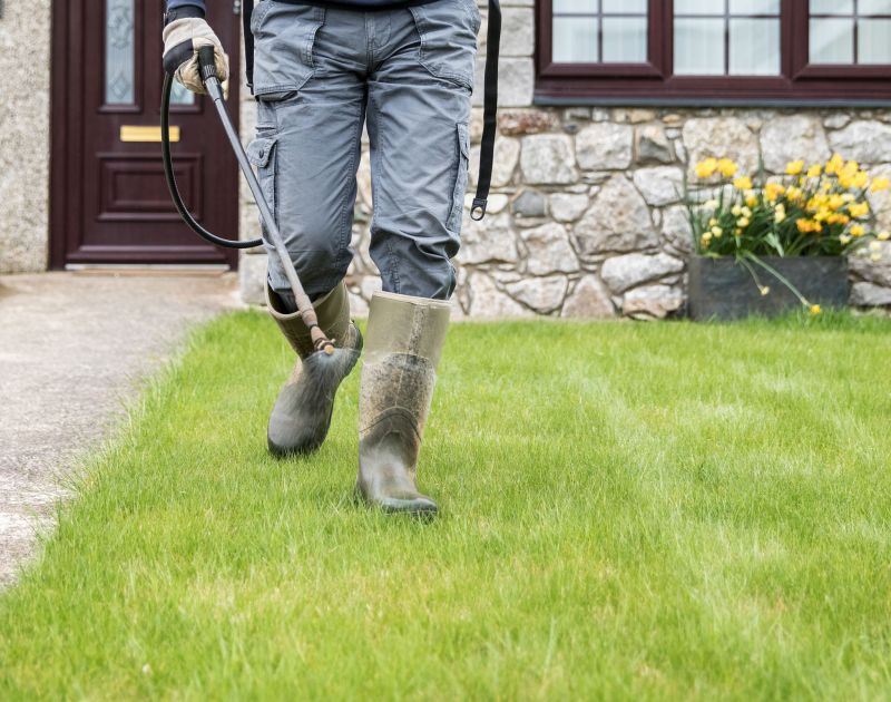 Who Does Stucco Service